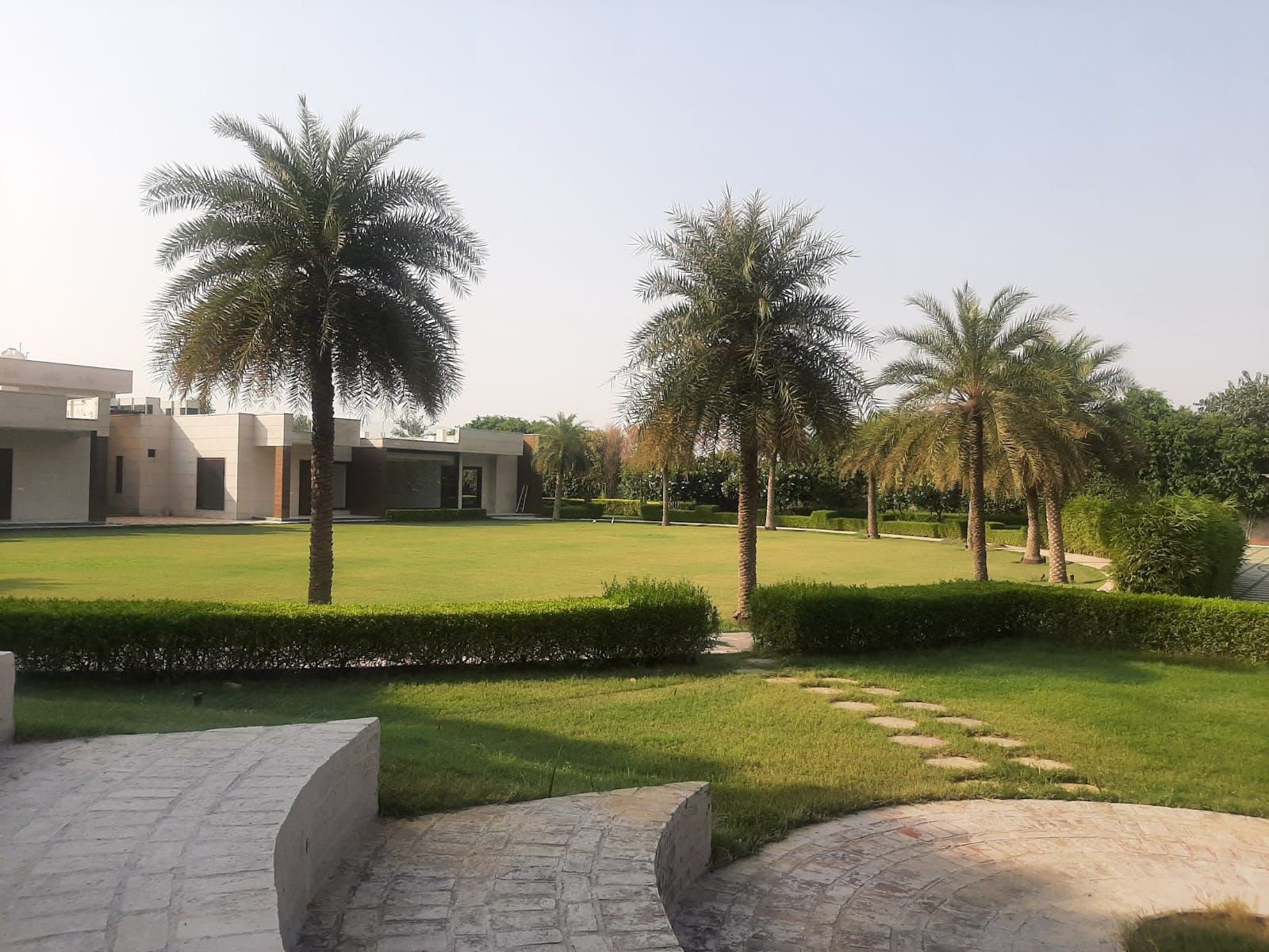 Ornamental Plants - MK Nursery