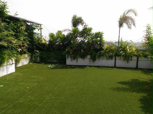 Ornamental Plants - MK Nursery