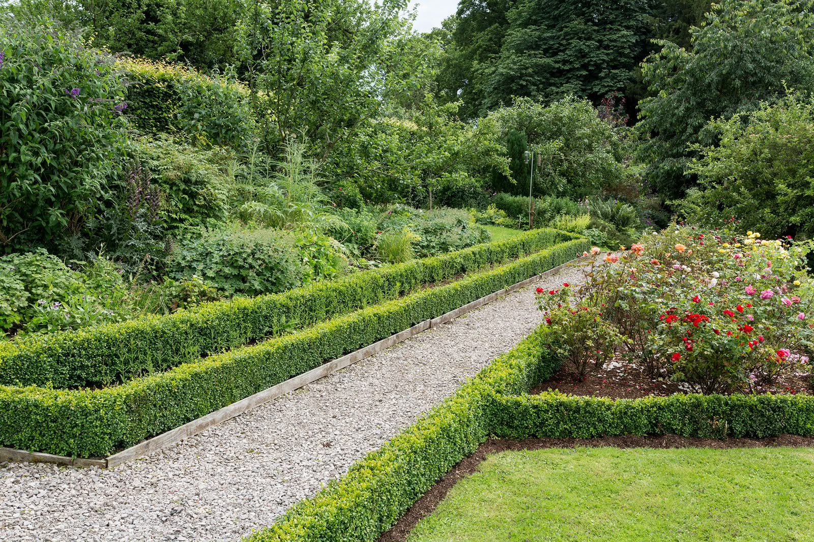 Ornamental Plants - MK Nursery